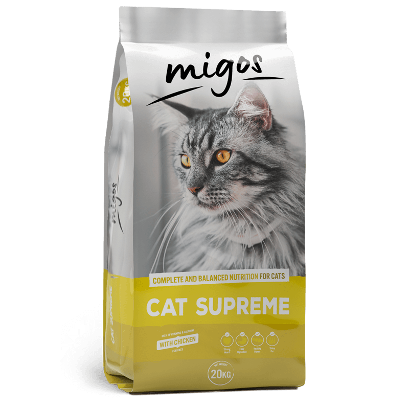 MIGOS-CAT-3d-new-edit3 (1)