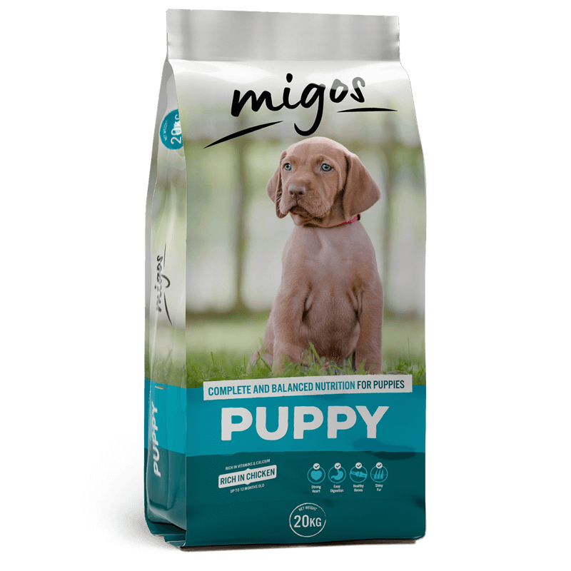 MIGOS-PUP (1)