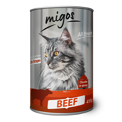 migos-cat-beef3