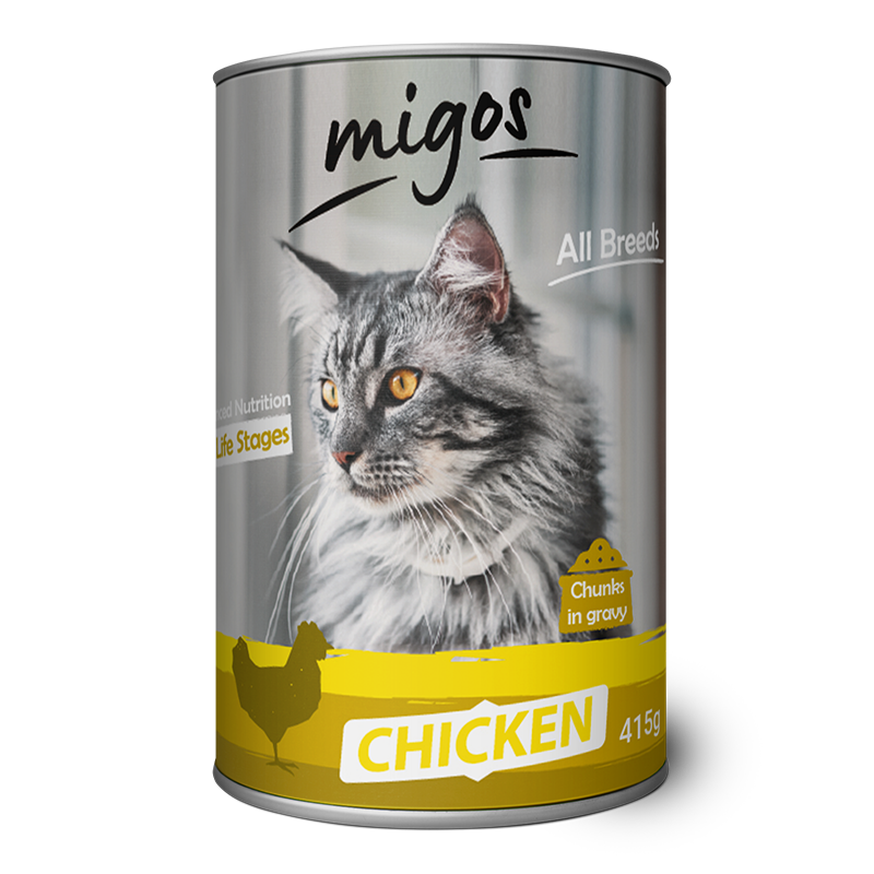migos-cat-chicken2
