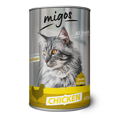 migos-cat-chicken3