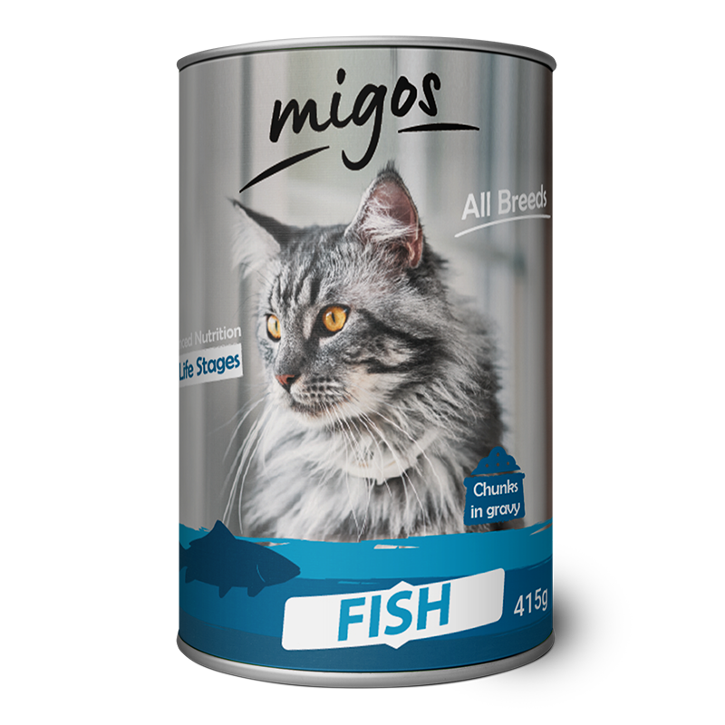 migos-cat-fish2