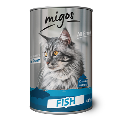 migos-cat-fish3