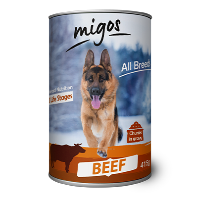 migos-dog-beef-1