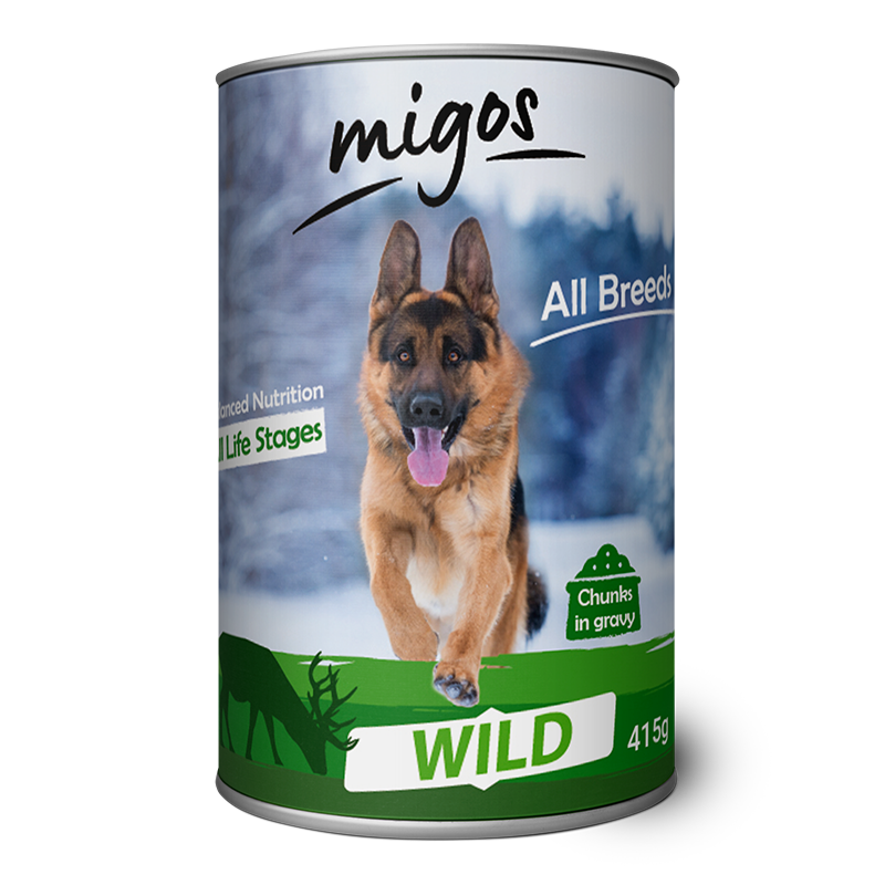 migos-dog-wild3