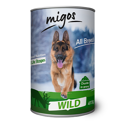 migos-dog-wild4